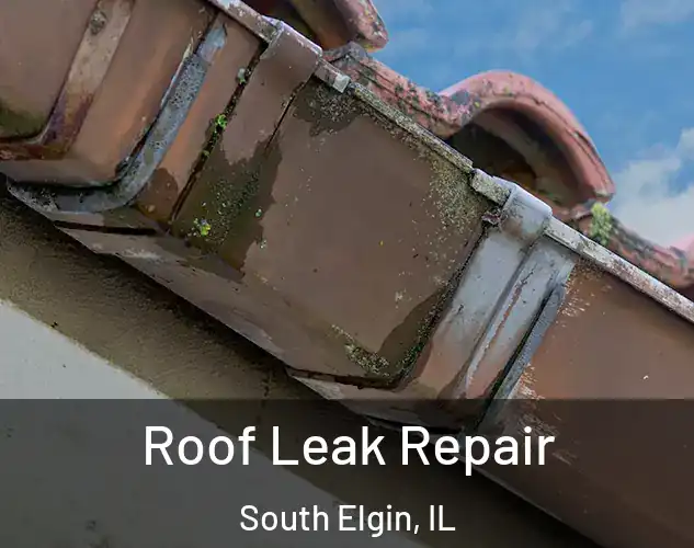  Roof Leak Repair South Elgin, IL