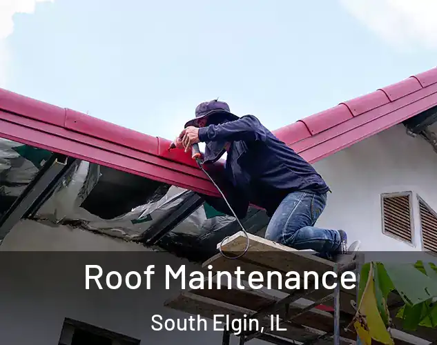  Roof Maintenance South Elgin, IL