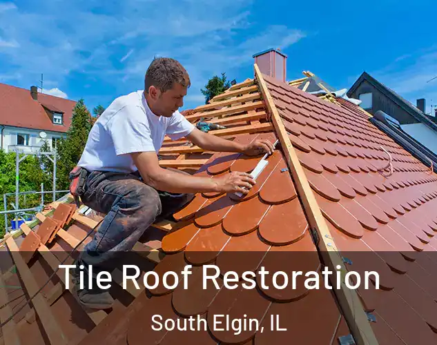  Tile Roof Restoration South Elgin, IL